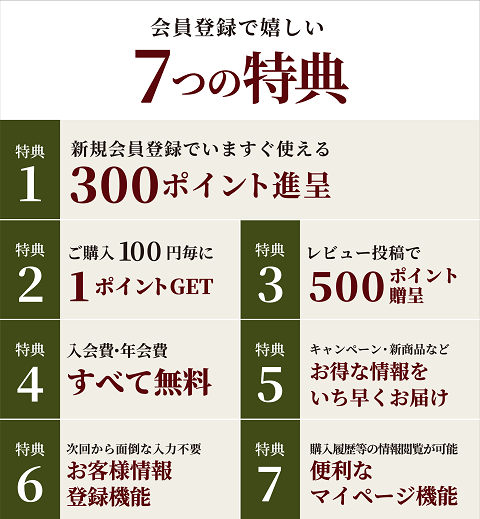 新規会員登録で300ポイントプレゼント