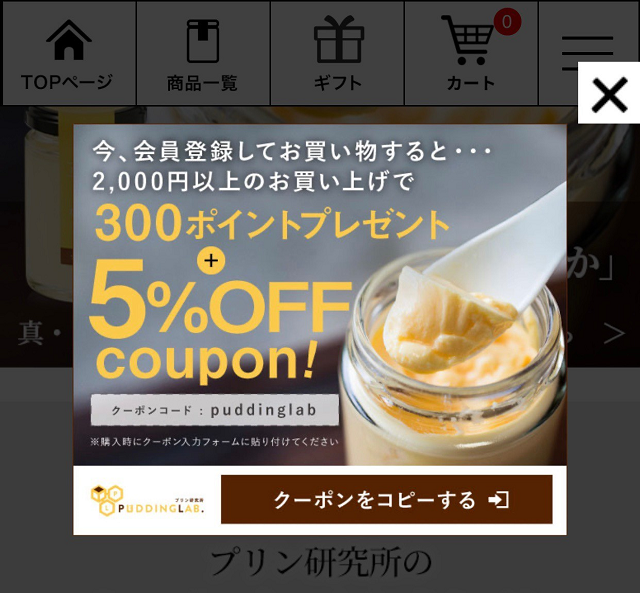 新規会員登録で5％OFFクーポン＆300ポイントプレゼント