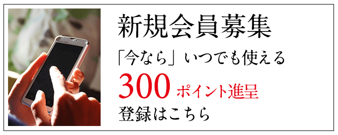 新規会員登録で300円分のポイントプレゼント