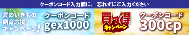 【期間限定】対象商品で使える最大1,000円OFFクーポン