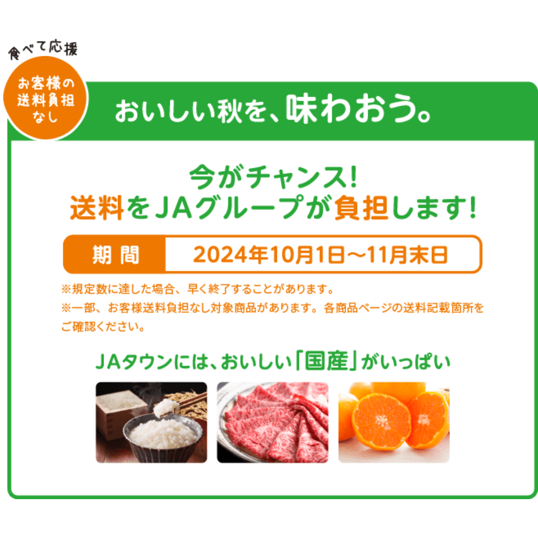 2024年10月1日（火）～11月30日（土）23：59までJAタウン送料無料キャンペーンが実施